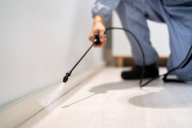 Professional exterminator conducting IPM assessment in Blaine